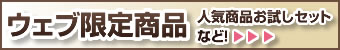 �E�F�u���菤�i